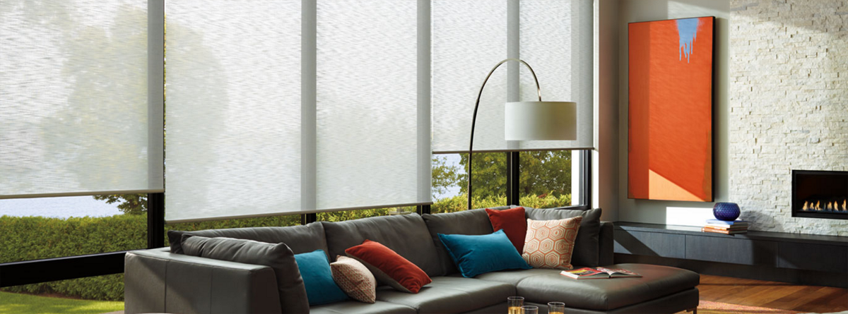 Hunter Douglas Roller Shades